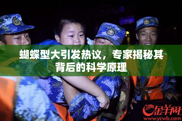 蝴蝶型大引发热议，专家揭秘其背后的科学原理