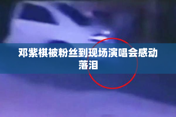 邓紫棋被粉丝到现场演唱会感动落泪