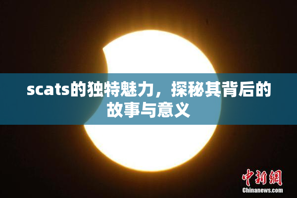 scats的独特魅力，探秘其背后的故事与意义