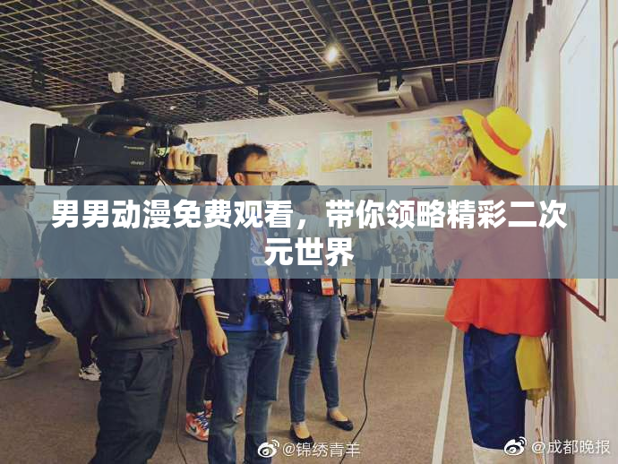 男男动漫免费观看，带你领略精彩二次元世界