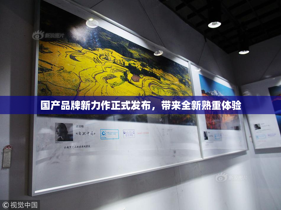 国产品牌新力作正式发布，带来全新熟重体验