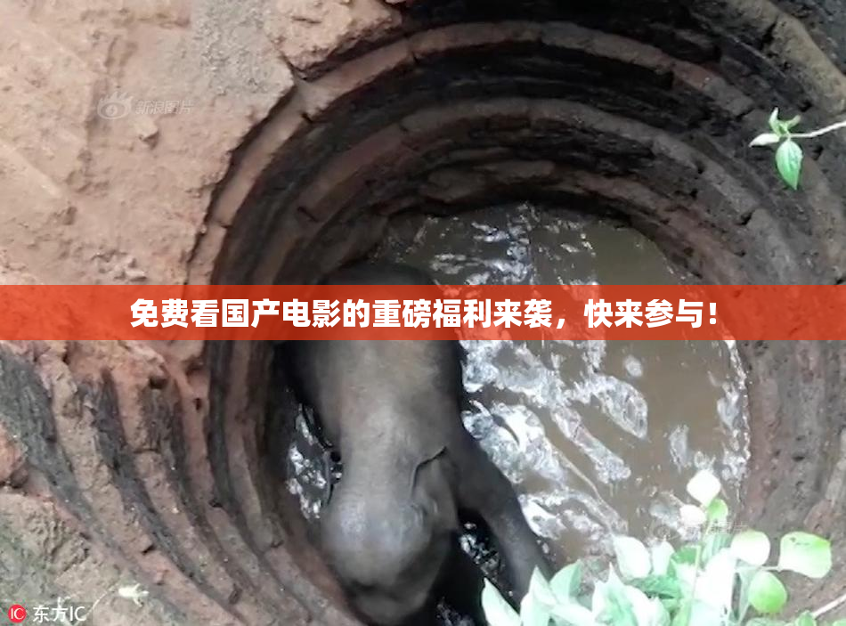 免费看国产电影的重磅福利来袭，快来参与！