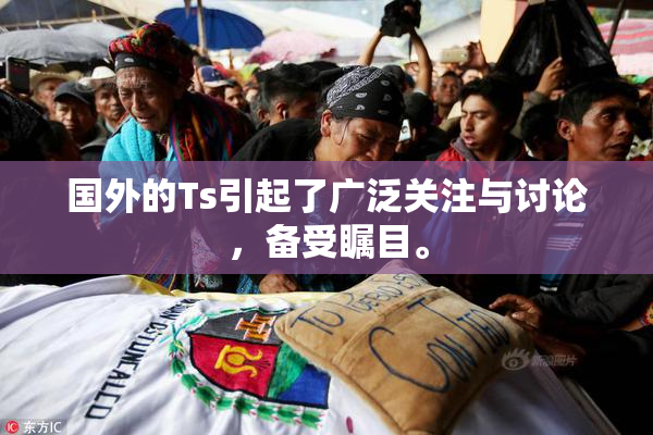 国外的Ts引起了广泛关注与讨论，备受瞩目。
