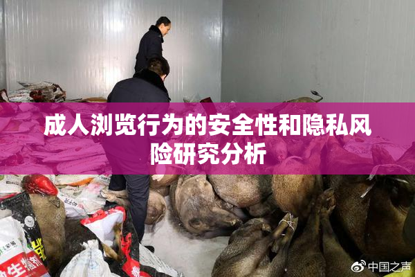 成人浏览行为的安全性和隐私风险研究分析