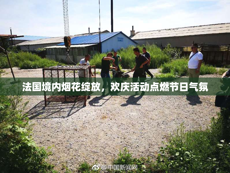 法国境内烟花绽放，欢庆活动点燃节日气氛