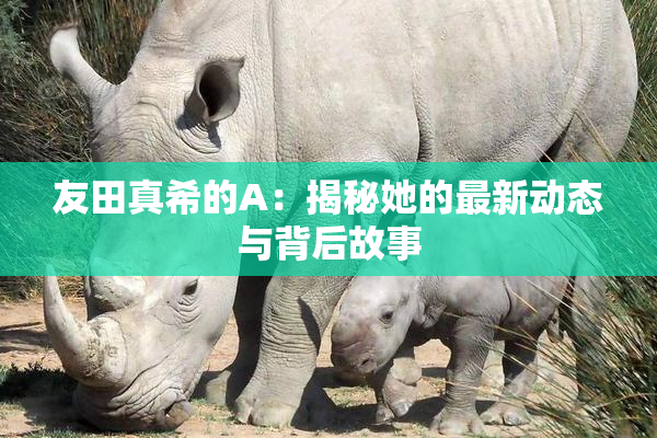 友田真希的A：揭秘她的最新动态与背后故事