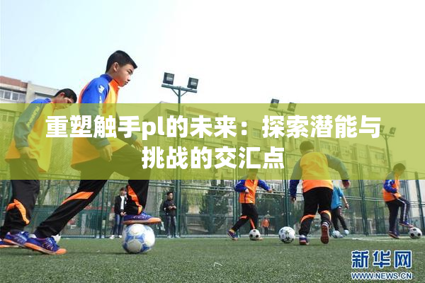 重塑触手pl的未来：探索潜能与挑战的交汇点