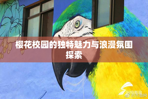 樱花校园的独特魅力与浪漫氛围探索