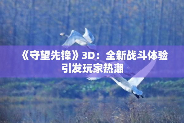 《守望先锋》3D：全新战斗体验引发玩家热潮
