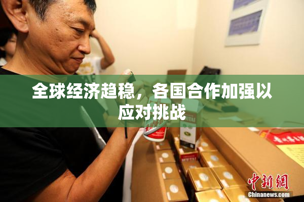 全球经济趋稳，各国合作加强以应对挑战