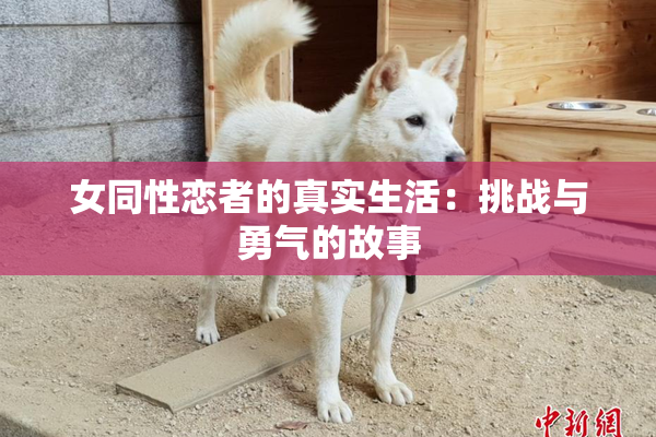 女同性恋者的真实生活：挑战与勇气的故事