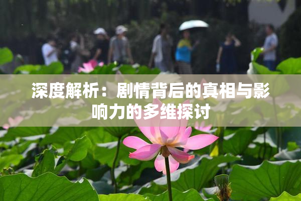 深度解析：剧情背后的真相与影响力的多维探讨