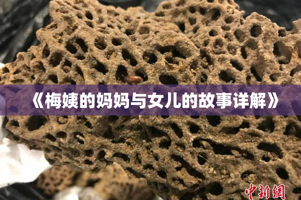 《梅姨的妈妈与女儿的故事详解》