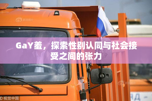 GaY羞，探索性别认同与社会接受之间的张力