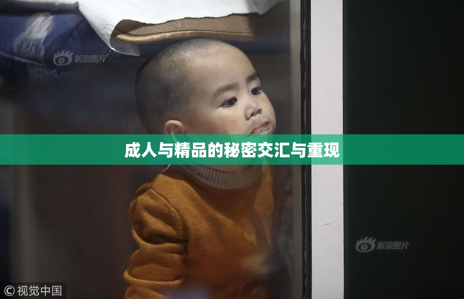 成人与精品的秘密交汇与重现