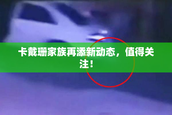 卡戴珊家族再添新动态，值得关注！