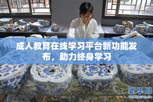 成人教育在线学习平台新功能发布，助力终身学习