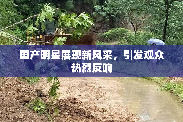 国产明星展现新风采，引发观众热烈反响