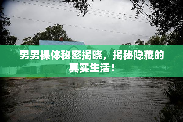 男男裸体秘密揭晓，揭秘隐藏的真实生活！