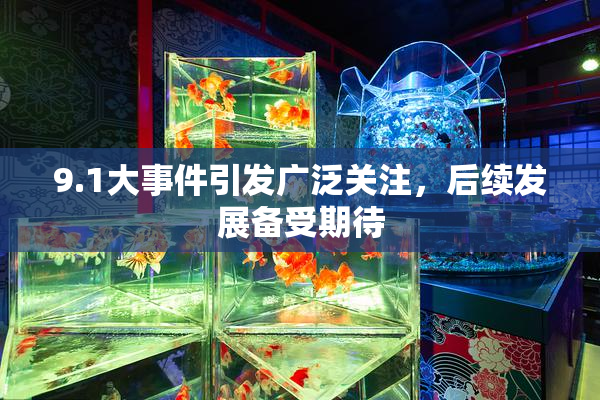 9.1大事件引发广泛关注，后续发展备受期待