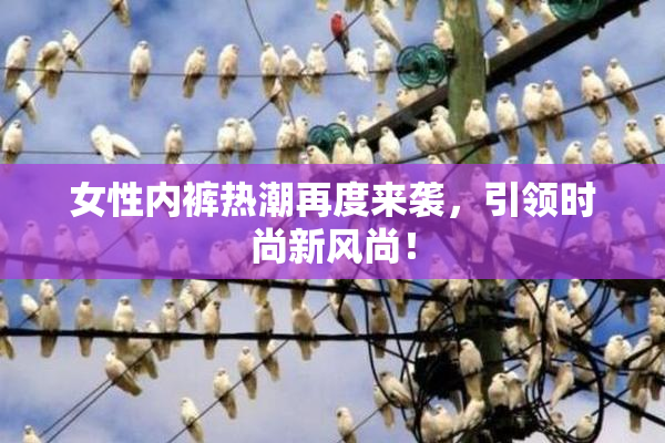 女性内裤热潮再度来袭，引领时尚新风尚！