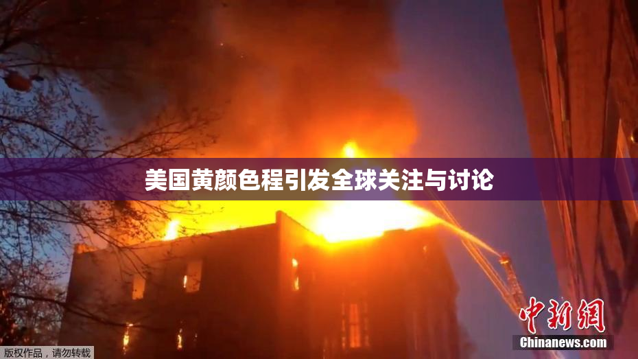 美国黄颜色程引发全球关注与讨论