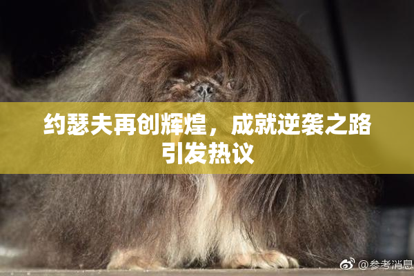 约瑟夫再创辉煌，成就逆袭之路引发热议