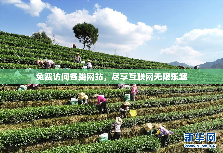 免费访问各类网站，尽享互联网无限乐趣