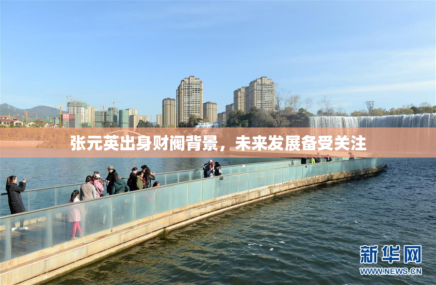 张元英出身财阀背景，未来发展备受关注