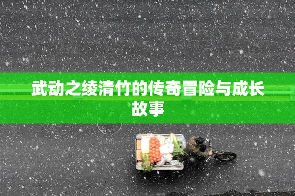武动之绫清竹的传奇冒险与成长故事