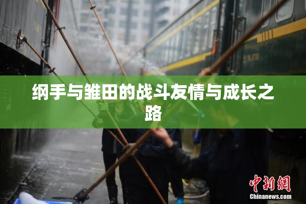 纲手与雏田的战斗友情与成长之路
