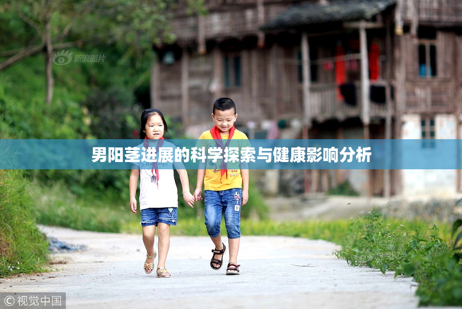 男阳茎进展的科学探索与健康影响分析