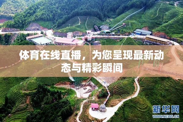 体育在线直播，为您呈现最新动态与精彩瞬间
