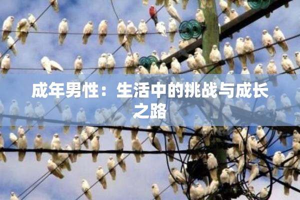 成年男性：生活中的挑战与成长之路