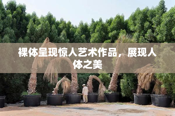 裸体呈现惊人艺术作品，展现人体之美