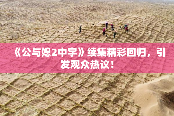《公与媳2中字》续集精彩回归，引发观众热议！