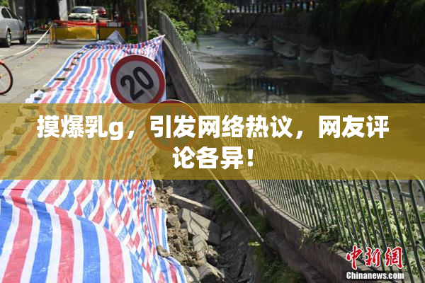 摸爆乳g，引发网络热议，网友评论各异！