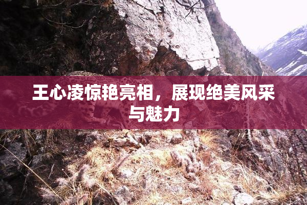 王心凌惊艳亮相，展现绝美风采与魅力