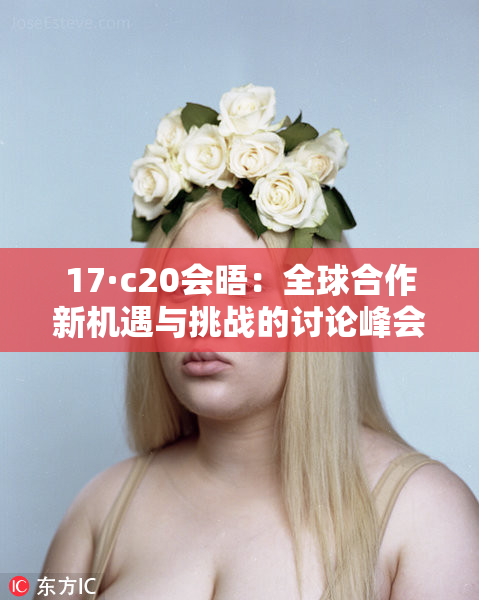 17·c20会晤：全球合作新机遇与挑战的讨论峰会