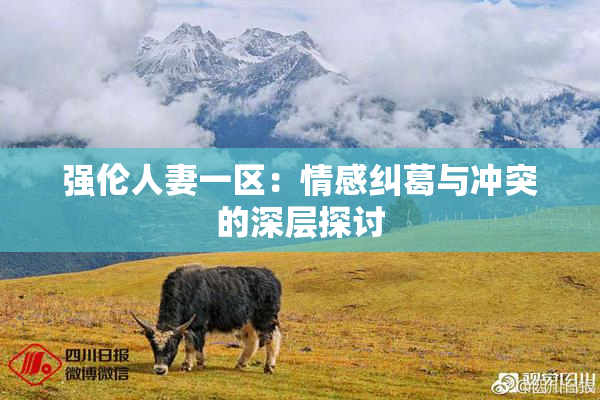 强伦人妻一区：情感纠葛与冲突的深层探讨