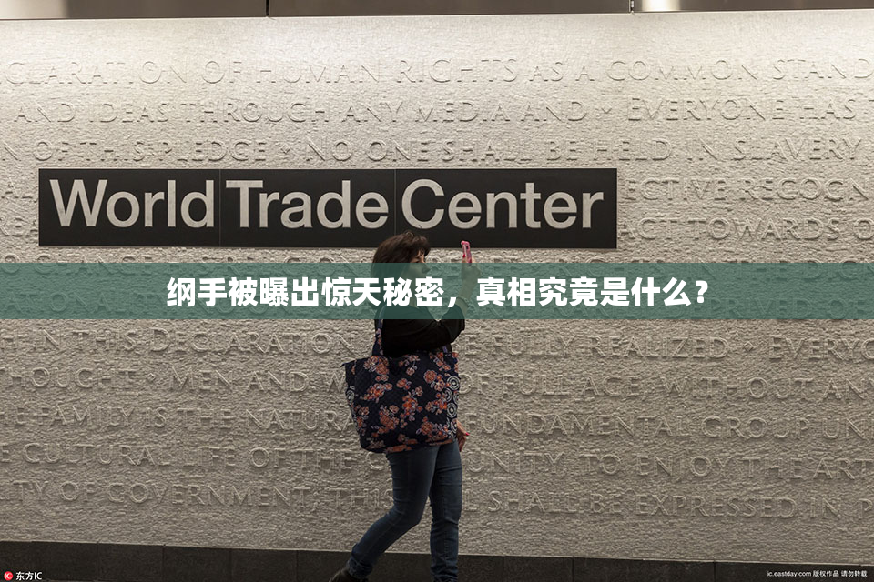 纲手被曝出惊天秘密，真相究竟是什么？