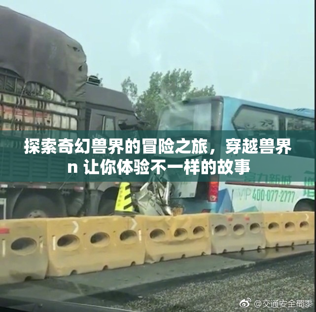 探索奇幻兽界的冒险之旅，穿越兽界n 让你体验不一样的故事