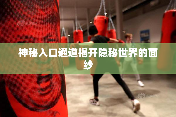 神秘入口通道揭开隐秘世界的面纱