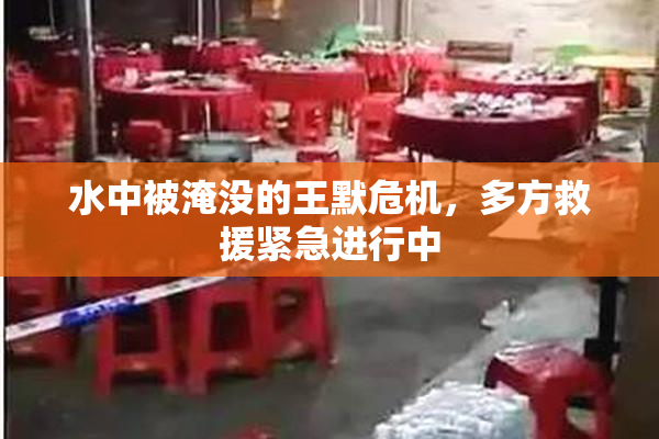水中被淹没的王默危机，多方救援紧急进行中