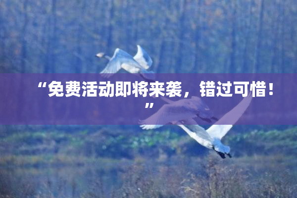 “免费活动即将来袭，错过可惜！”
