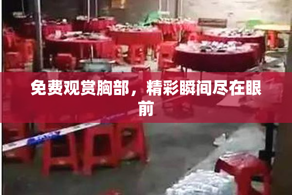 免费观赏胸部，精彩瞬间尽在眼前