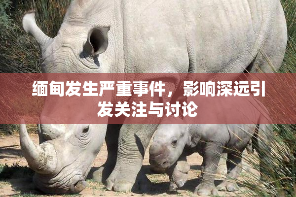 缅甸发生严重事件，影响深远引发关注与讨论