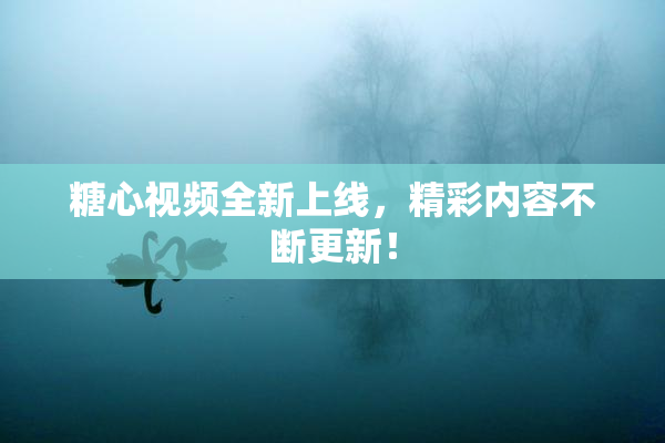 糖心视频全新上线，精彩内容不断更新！