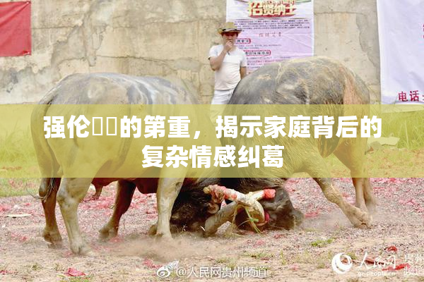 强伦妺妺的第重，揭示家庭背后的复杂情感纠葛