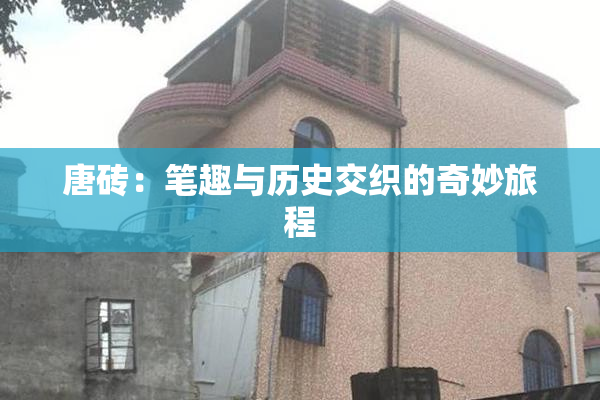 唐砖：笔趣与历史交织的奇妙旅程